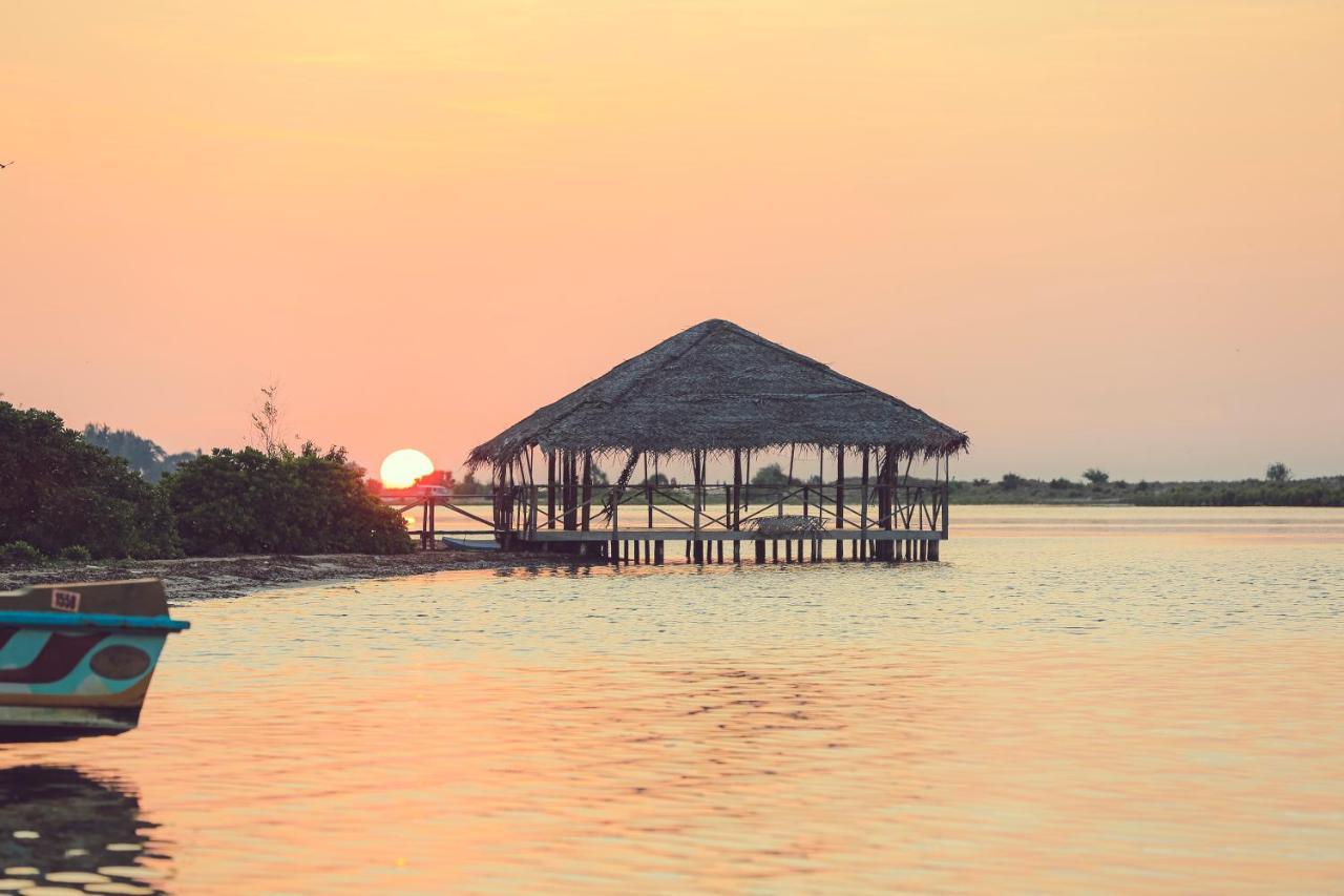 Dinuda Resort Kalpitiya Eksteriør billede